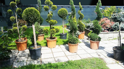 "GARDEN CENTER" EVERDE