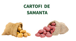 Oferta saptamanii "CARTOFI DE SAMANTA"