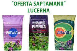 "OFERTA SAPTAMANII" LUCERNA