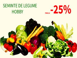 '' OFERTA SAPTAMANII " SEMINTE DE LEGUME HOBBY