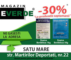 '' OFERTA SAPTAMANII " Zeama Bordeleza